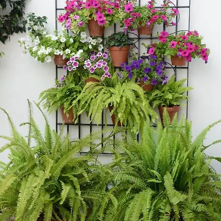 Purisima Vivienda Turistica Daire *