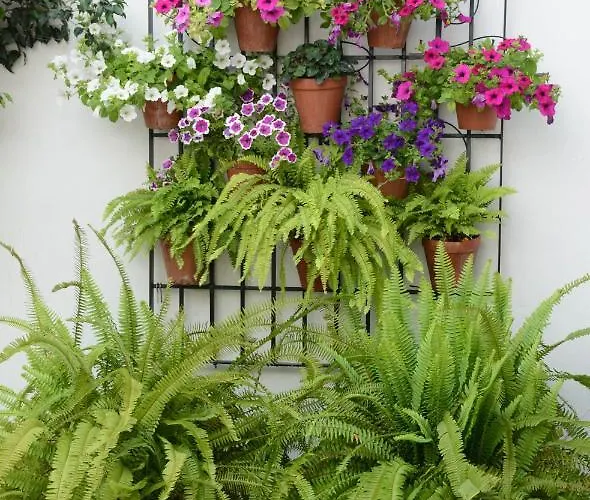 Purisima Vivienda Turistica شقة *